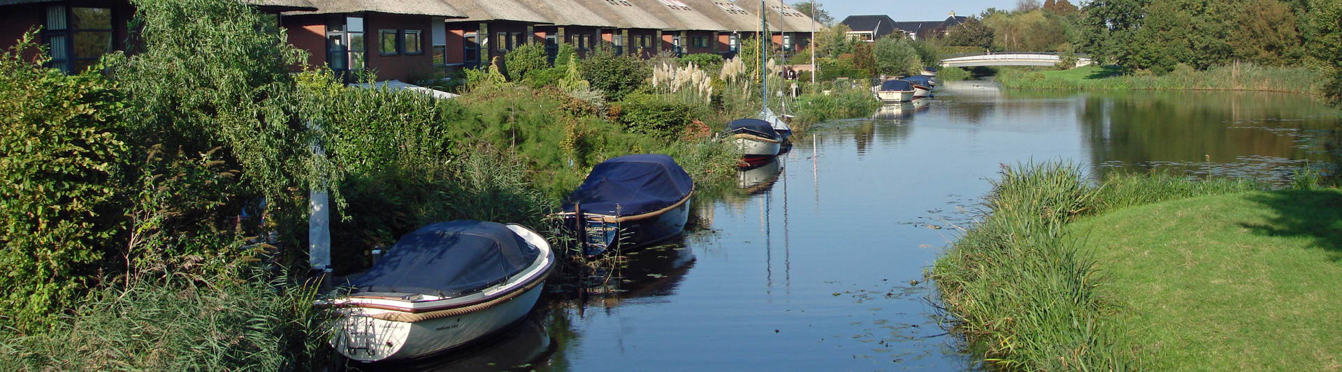 Small rowing boats moored in a reed-lined canal